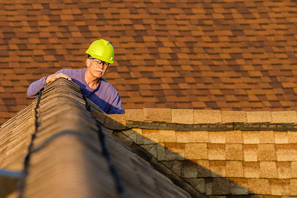 Best Local Roofing Companies  in Black Earth, WI