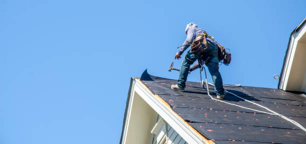 Best Roof Repair Services  in Black Earth, WI
